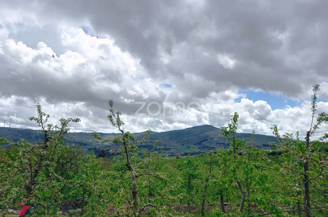 Moradia T3 para Venda em Paredes da Beira Foto 18