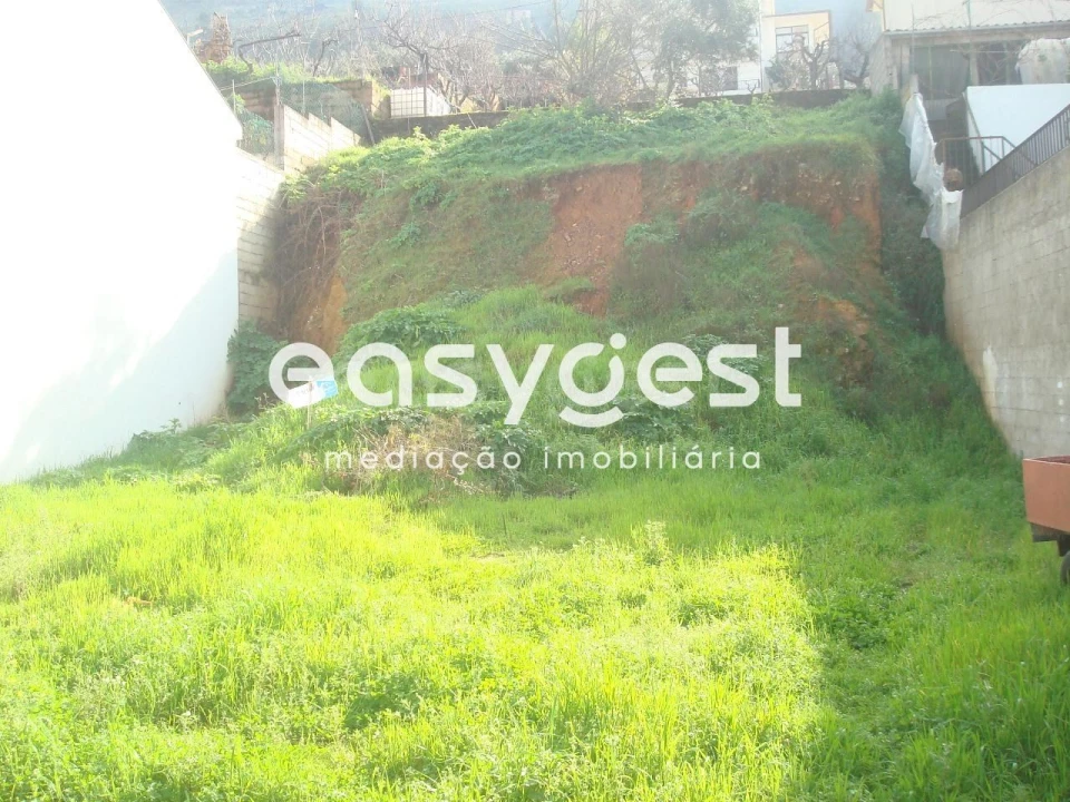 Terreno para Venda em Torre de Moncorvo Foto 2