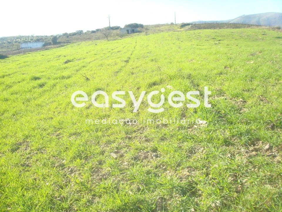 Terreno Agricola ou Rústico para Venda em Vila Nova de Foz Côa Foto 1