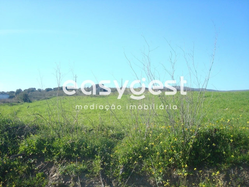 Terreno Agricola ou Rústico para Venda em Vila Nova de Foz Côa Foto 2