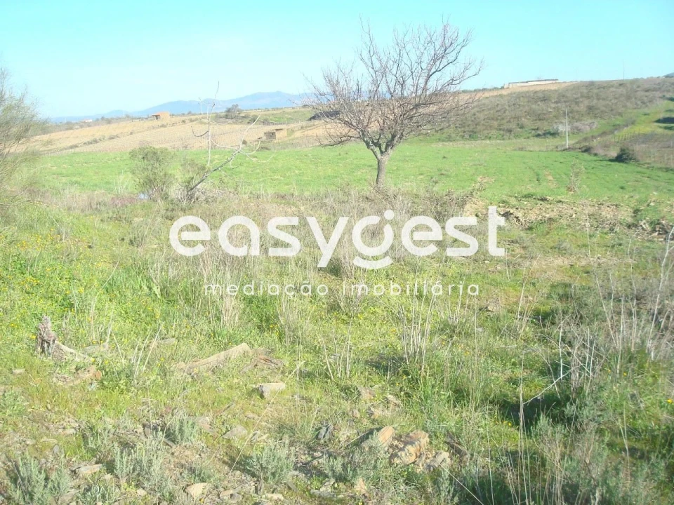 Terreno Agricola ou Rústico para Venda em Vila Nova de Foz Côa Foto 3
