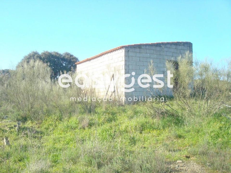 Terreno Agricola ou Rústico para Venda em Vila Nova de Foz Côa Foto 4