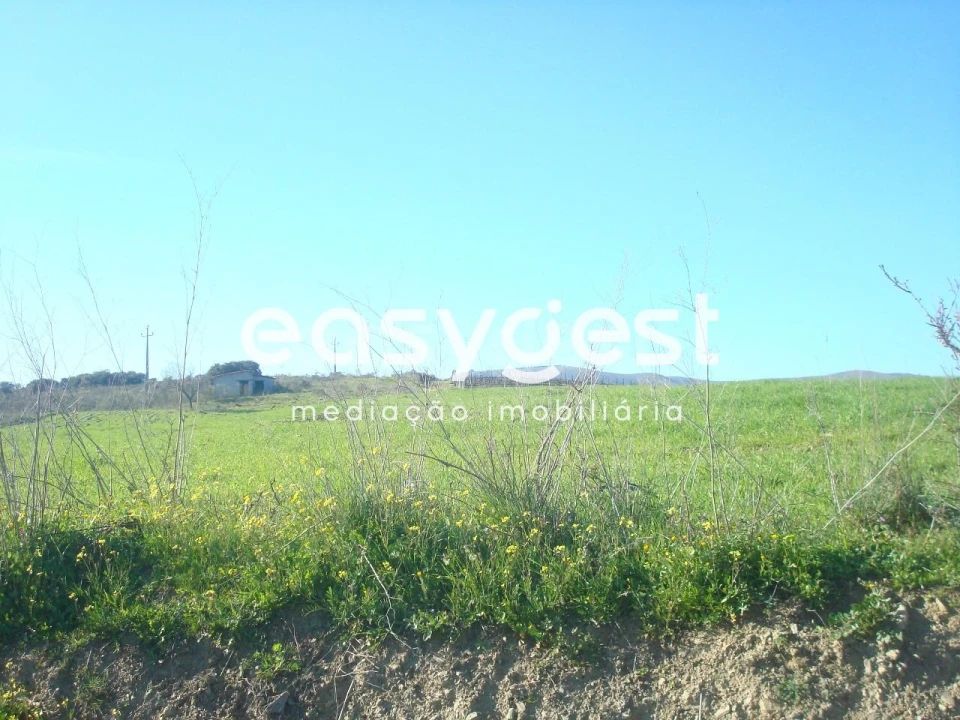 Terreno Agricola ou Rústico para Venda em Vila Nova de Foz Côa Foto 5