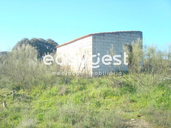 Terreno Agricola ou Rústico para Venda em Vila Nova de Foz Côa Foto 4