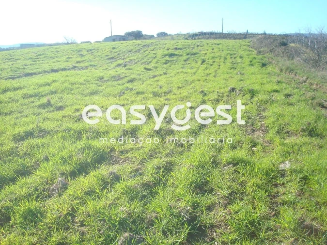 Terreno Agricola ou Rústico para Venda em Vila Nova de Foz Côa Foto 6