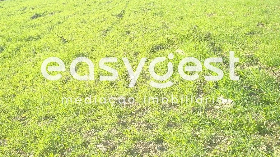 Terreno Agricola ou Rústico para Venda em Vila Nova de Foz Côa