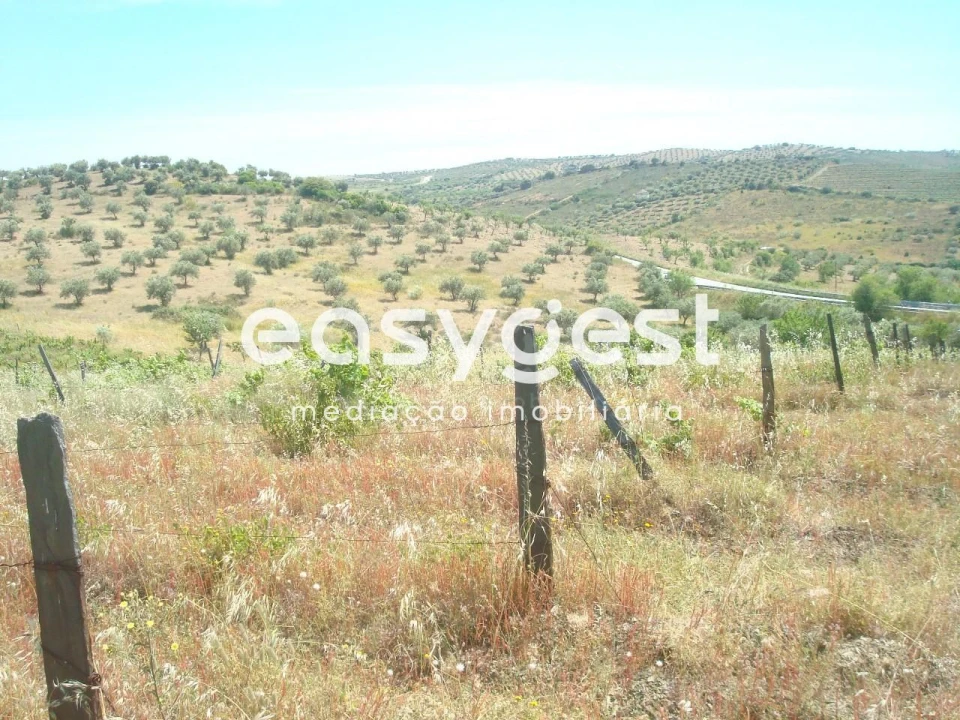 Terreno Agricola ou Rústico para Venda em Almendra Foto 6