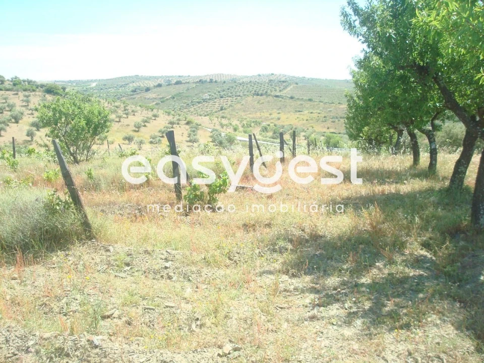 Terreno Agricola ou Rústico para Venda em Almendra Foto 9