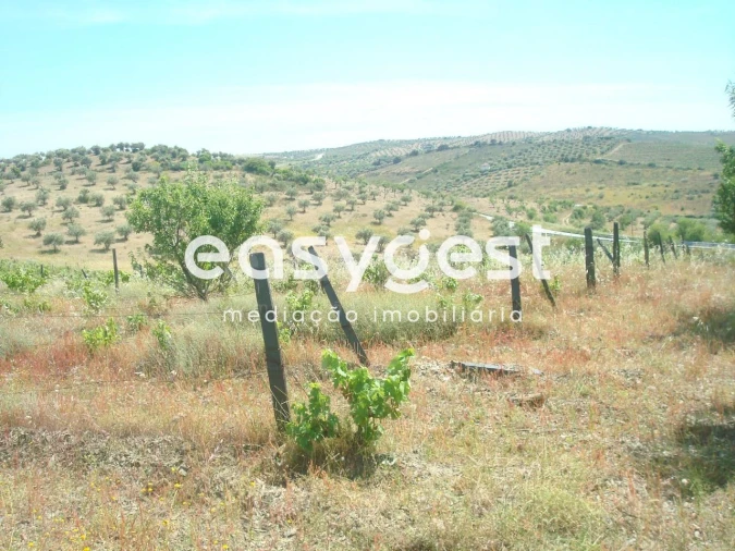 Terreno Agricola ou Rústico para Venda em Almendra Foto 2