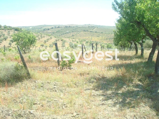Terreno Agricola ou Rústico para Venda em Almendra Foto 9