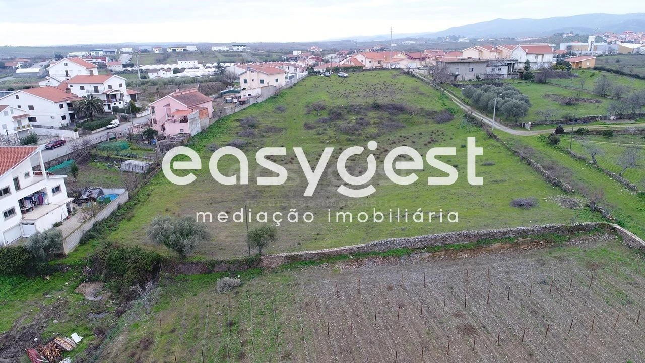 Terreno Agricola ou Rústico para Venda em Vila Nova de Foz Côa Foto 3