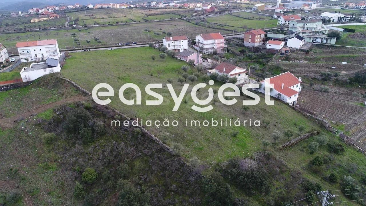 Terreno Agricola ou Rústico para Venda em Vila Nova de Foz Côa Foto 5
