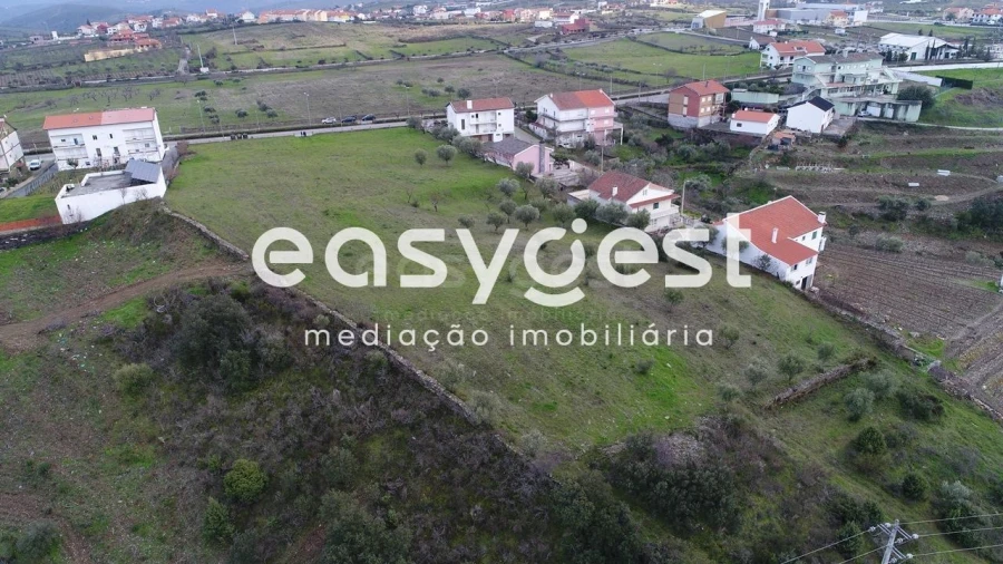 Terreno Agricola ou Rústico para Venda em Vila Nova de Foz Côa Foto 5