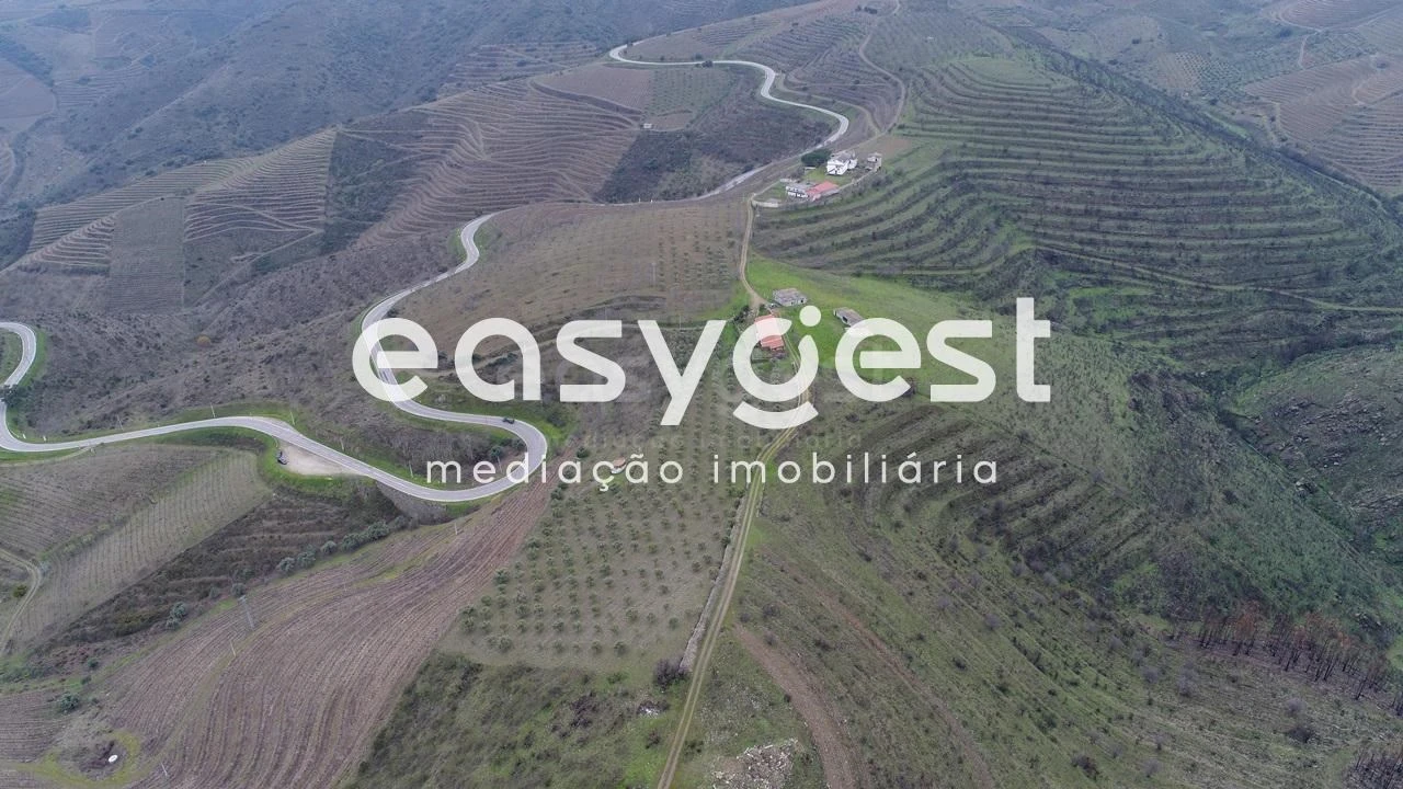 Terreno Agricola ou Rústico para Venda em Freixo de Numão Foto 2