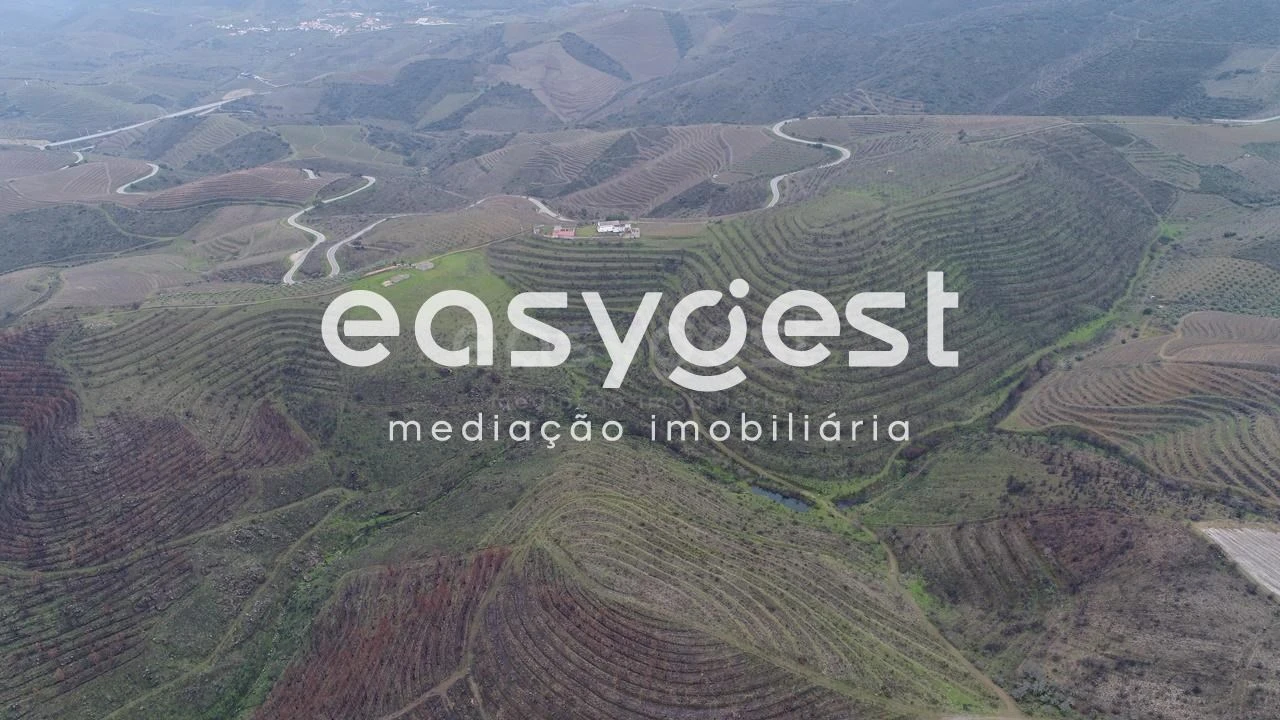 Terreno Agricola ou Rústico para Venda em Freixo de Numão Foto 4