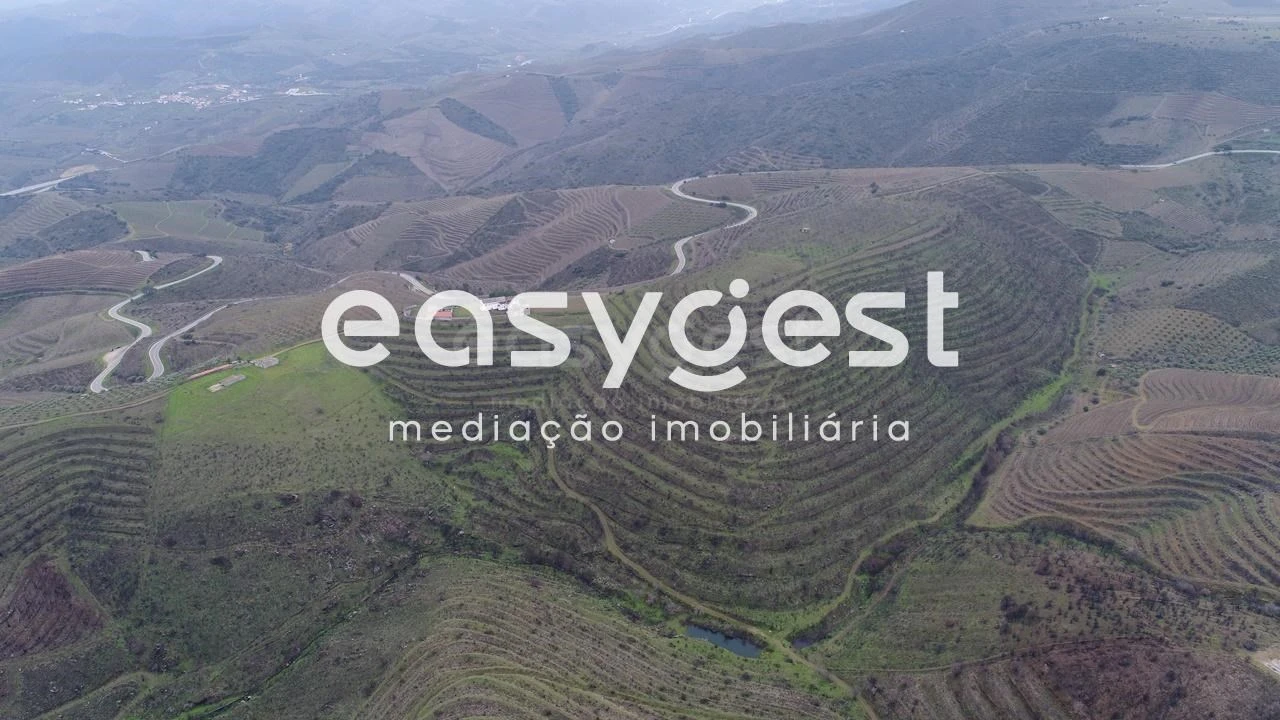 Terreno Agricola ou Rústico para Venda em Freixo de Numão Foto 5