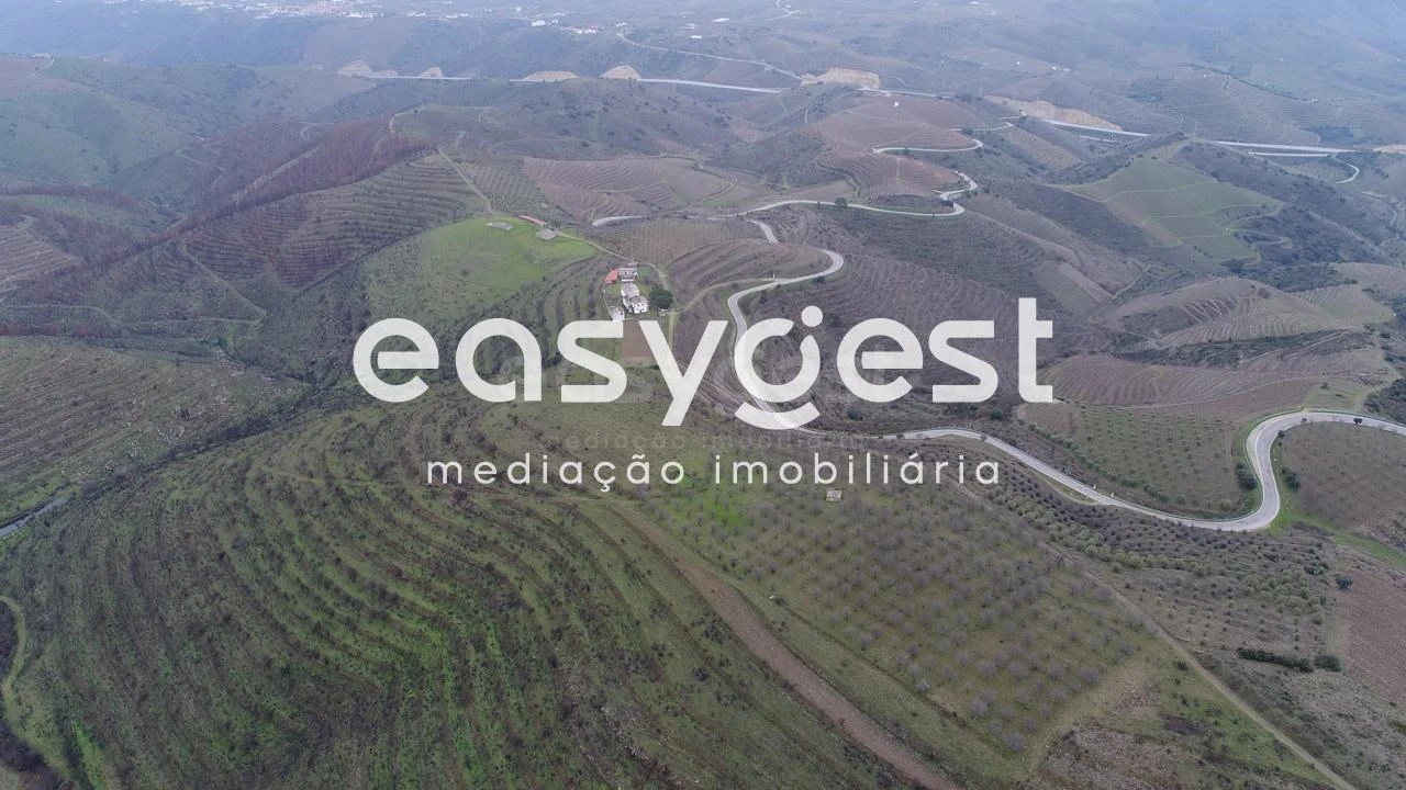 Terreno Agricola ou Rústico para Venda em Freixo de Numão Foto 6