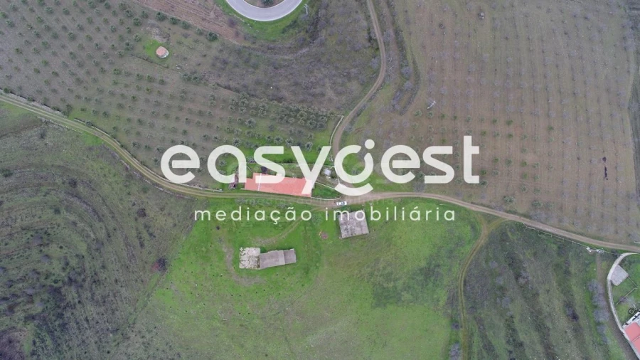 Terreno Agricola ou Rústico para Venda em Freixo de Numão