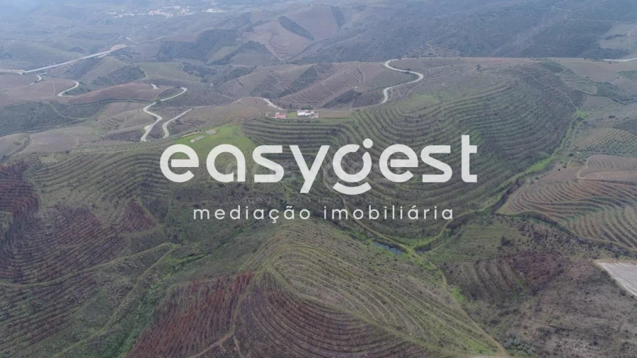 Terreno Agricola ou Rústico para Venda em Freixo de Numão Foto 4