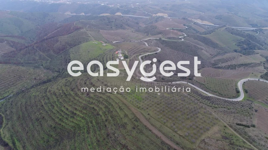 Terreno Agricola ou Rústico para Venda em Freixo de Numão Foto 6