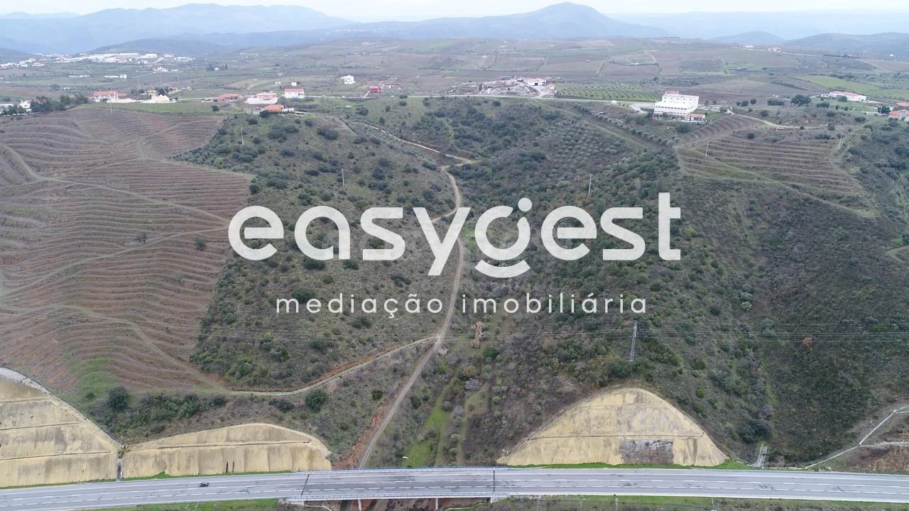 Terreno Agricola ou Rústico para Venda em Vila Nova de Foz Côa Foto 3