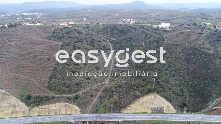 Terreno Agricola ou Rústico para Venda em Vila Nova de Foz Côa Foto 3