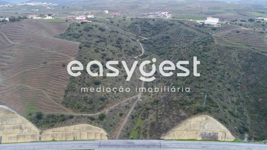 Terreno Agricola ou Rústico para Venda em Vila Nova de Foz Côa Foto 4