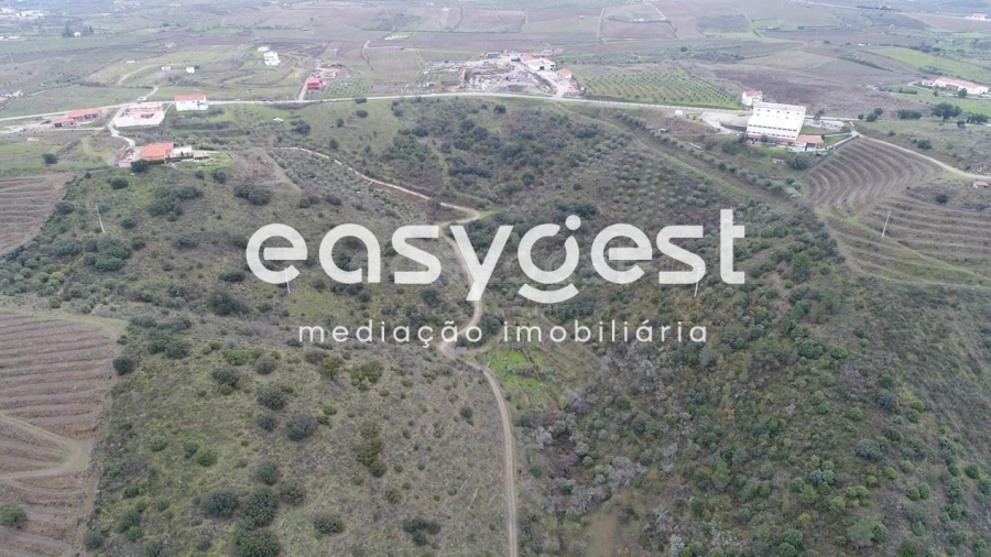 Terreno Agricola ou Rústico para Venda em Vila Nova de Foz Côa