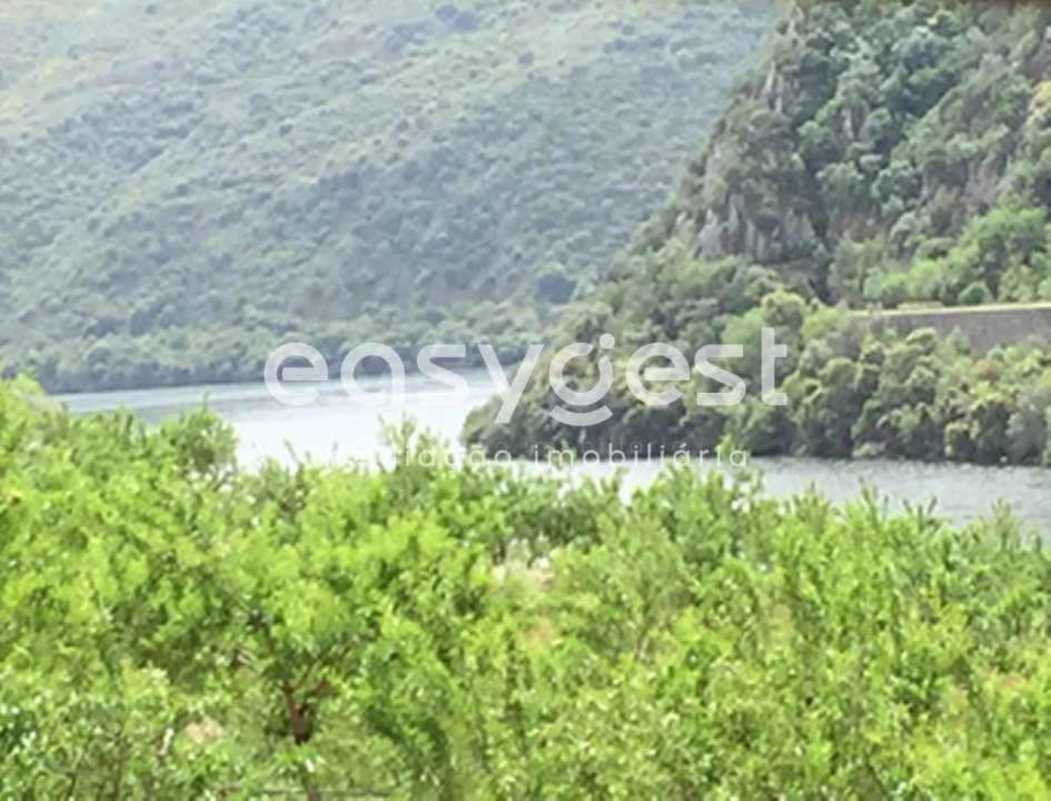 Terreno para Venda em Urros e Peredo dos Castelhanos Foto 6