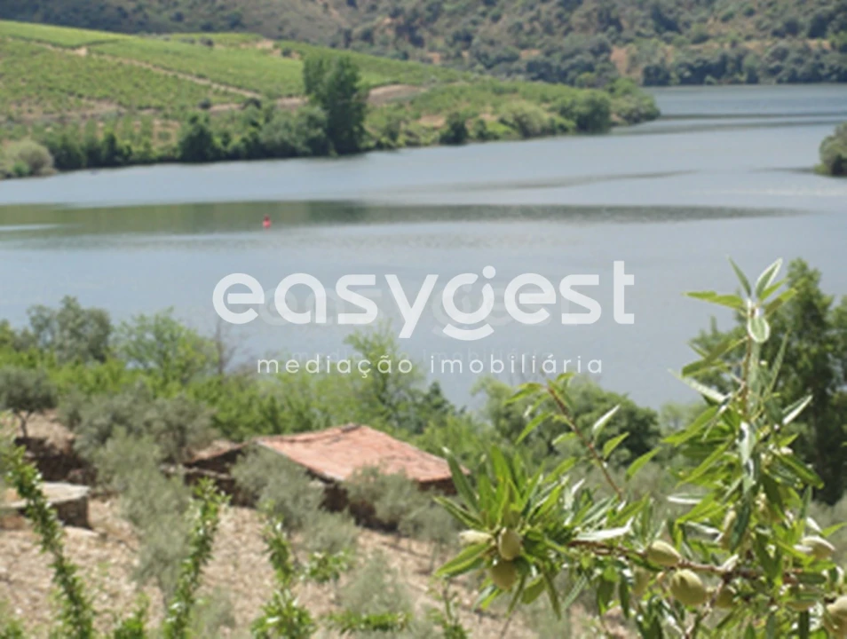 Terreno para Venda em Urros e Peredo dos Castelhanos Foto 7
