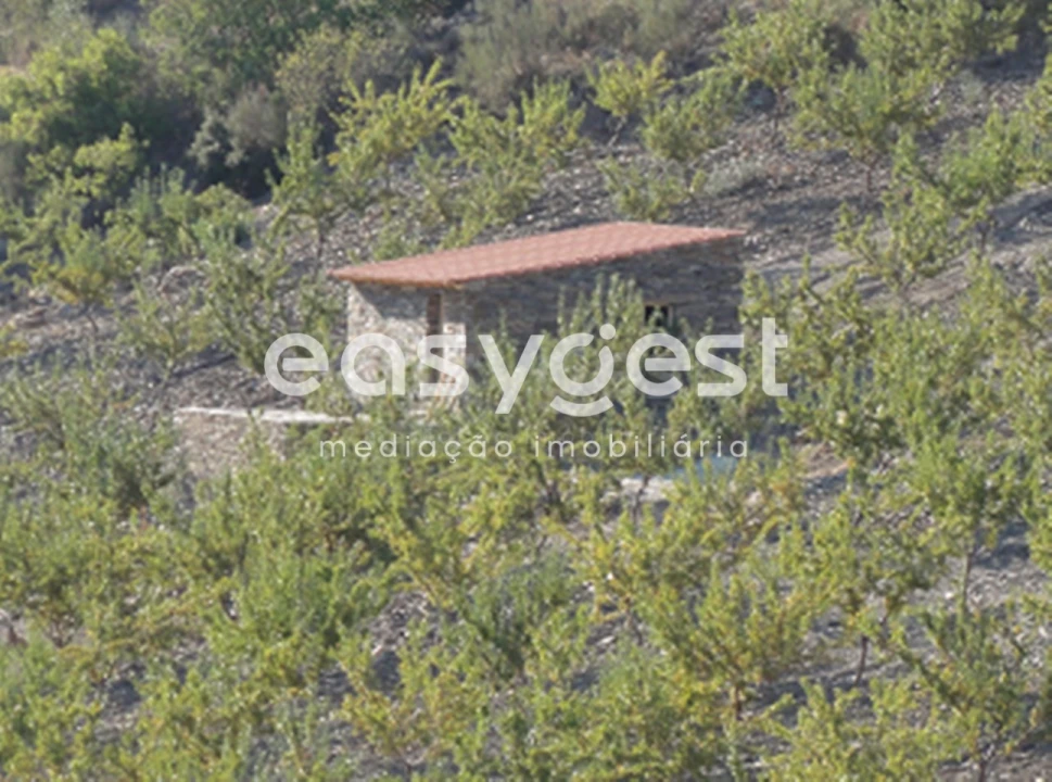 Terreno para Venda em Urros e Peredo dos Castelhanos Foto 8