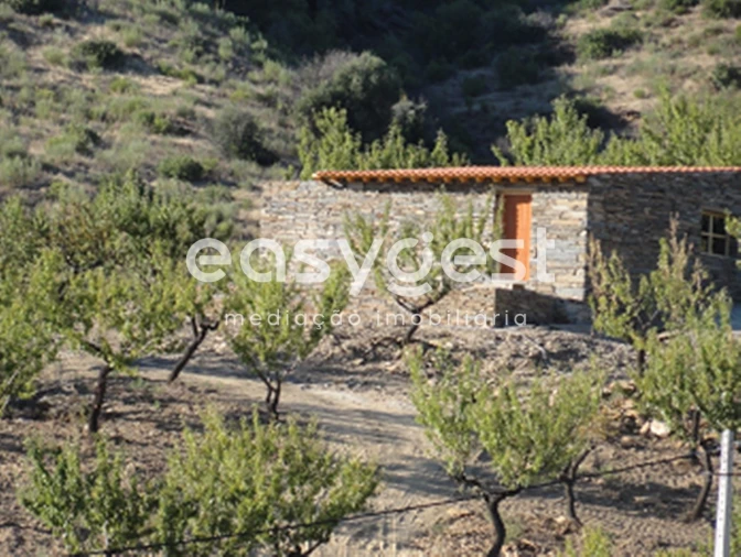 Terreno para Venda em Urros e Peredo dos Castelhanos Foto 4