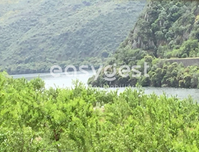 Terreno para Venda em Urros e Peredo dos Castelhanos Foto 6