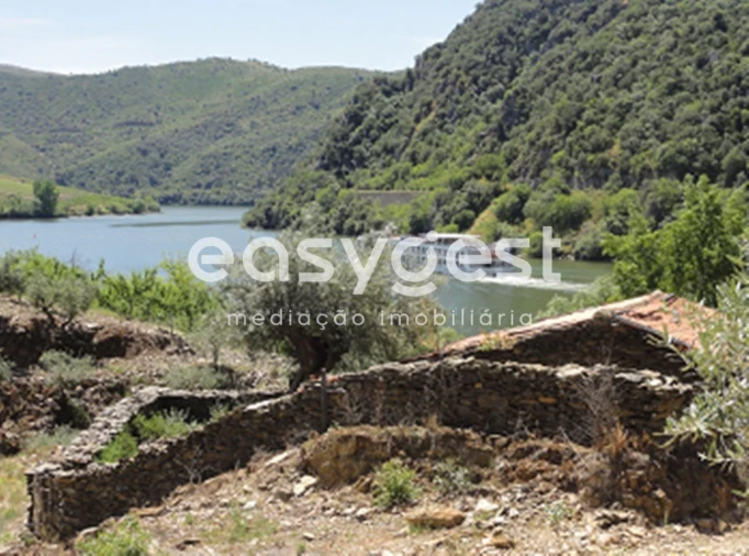 Terreno para Venda em Urros e Peredo dos Castelhanos Foto 9