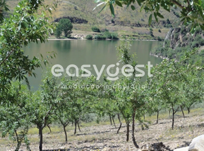 Terreno para Venda em Urros e Peredo dos Castelhanos Foto 10