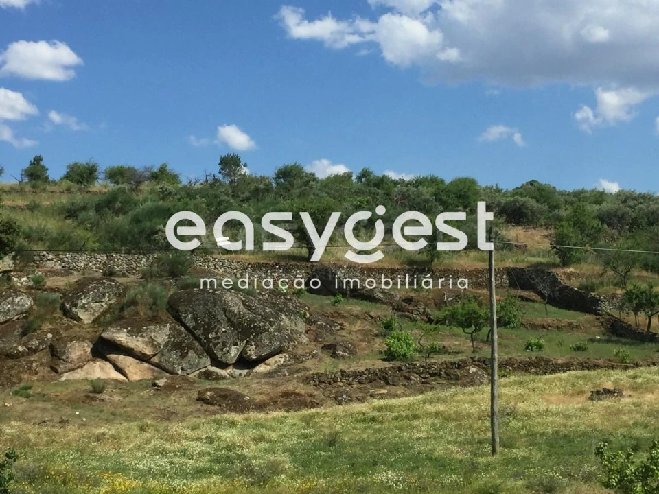 Terreno Agricola ou Rústico para Venda em Seixo de Manhoses Foto 1