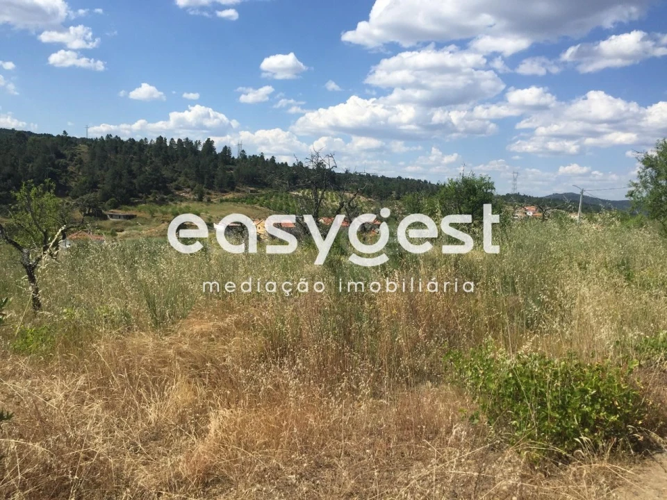 Terreno Agricola ou Rústico para Venda em Seixo de Manhoses Foto 4