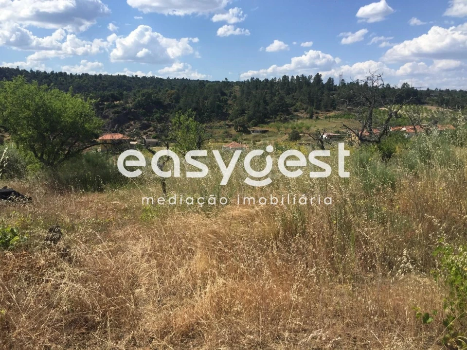 Terreno Agricola ou Rústico para Venda em Seixo de Manhoses Foto 6