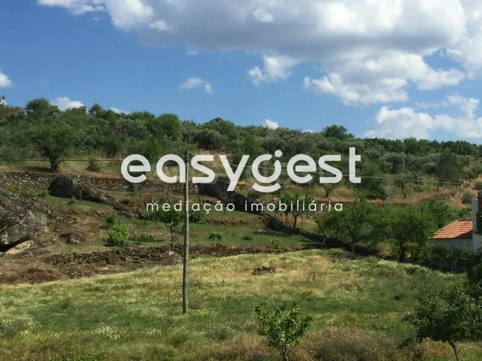 Terreno Agricola ou Rústico para Venda em Seixo de Manhoses Foto 7