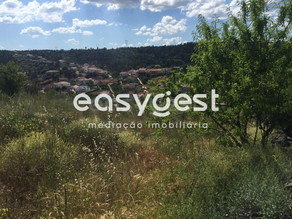 Terreno Agricola ou Rústico para Venda em Seixo de Manhoses Foto 8