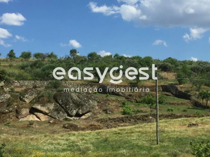 Terreno Agricola ou Rústico para Venda em Seixo de Manhoses Foto 1