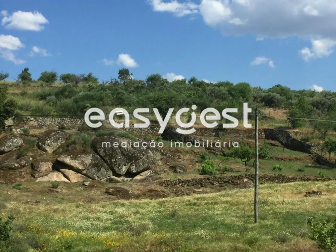 Terreno Agricola ou Rústico para Venda em Seixo de Manhoses Foto 2