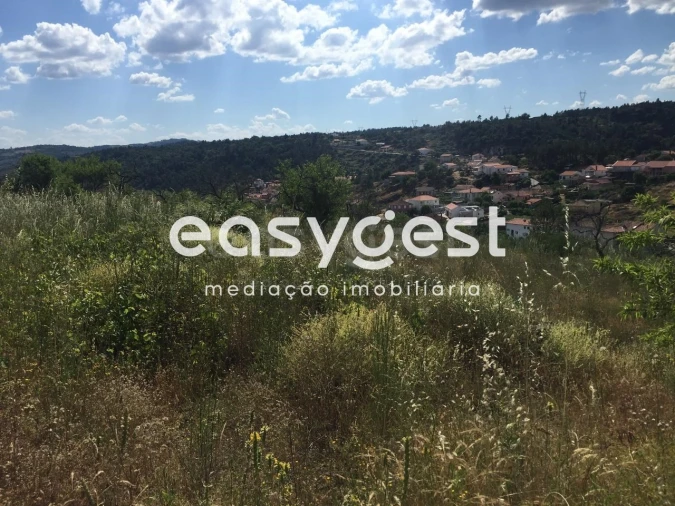 Terreno Agricola ou Rústico para Venda em Seixo de Manhoses Foto 5
