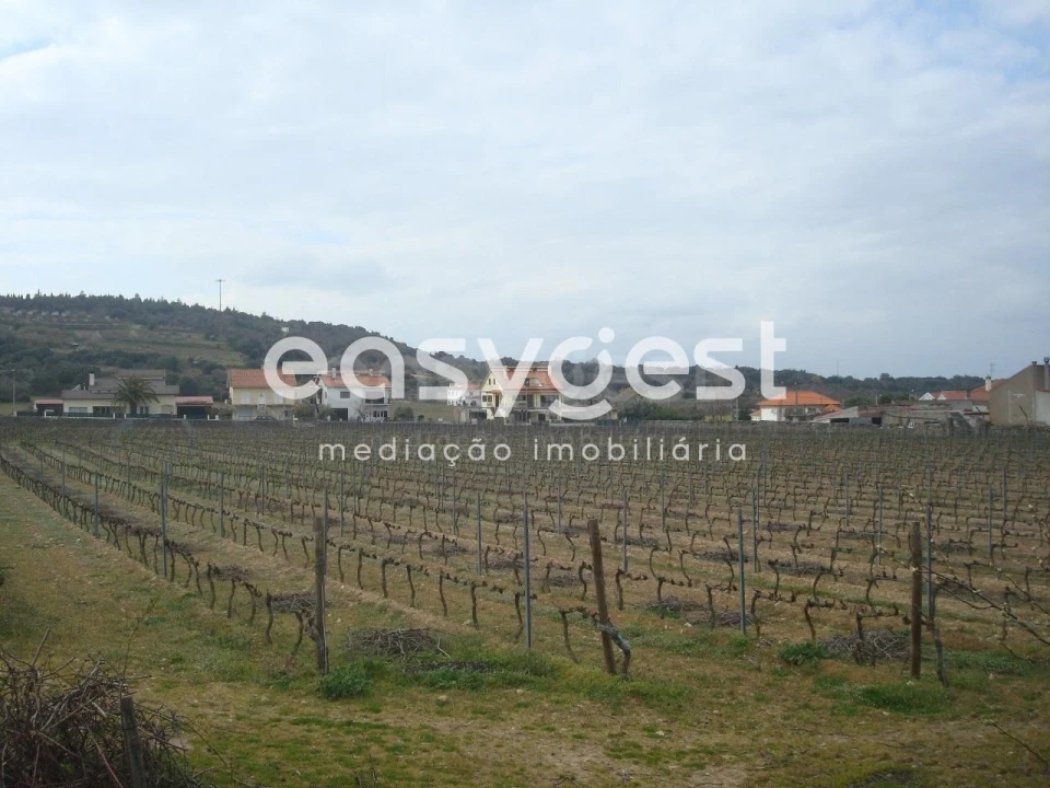 Terreno Agricola ou Rústico para Venda em Touça Foto 1