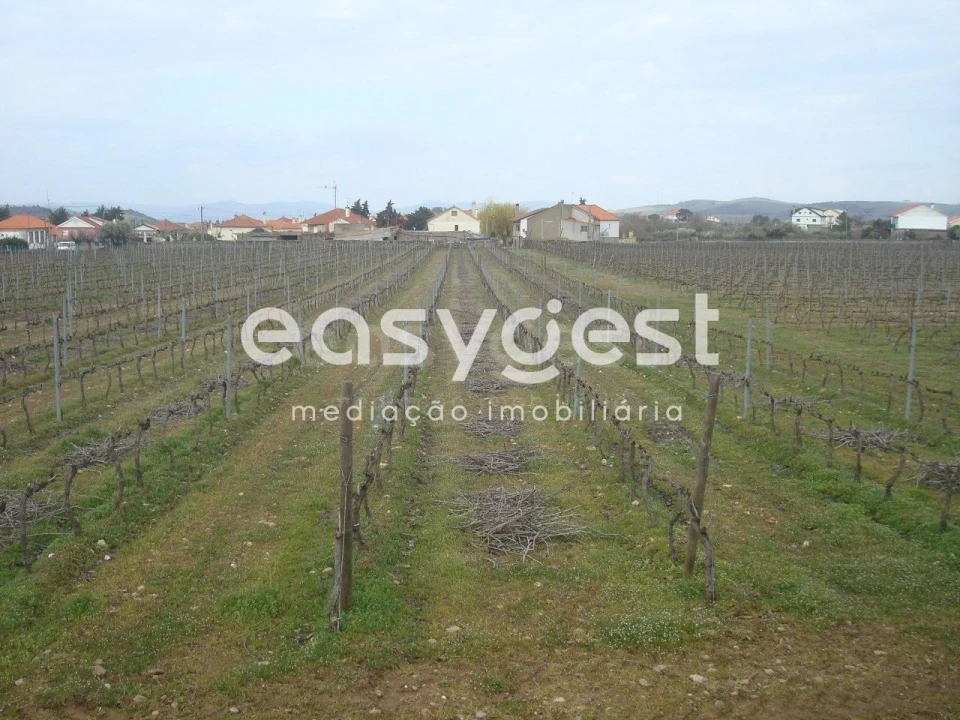 Terreno Agricola ou Rústico para Venda em Touça Foto 2