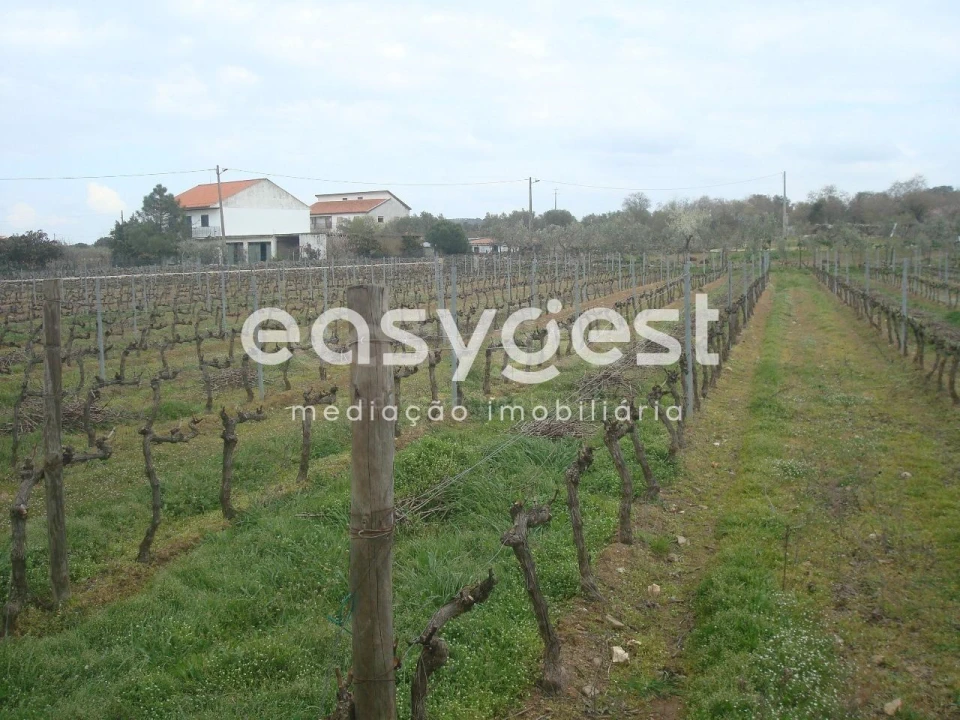 Terreno Agricola ou Rústico para Venda em Touça Foto 4