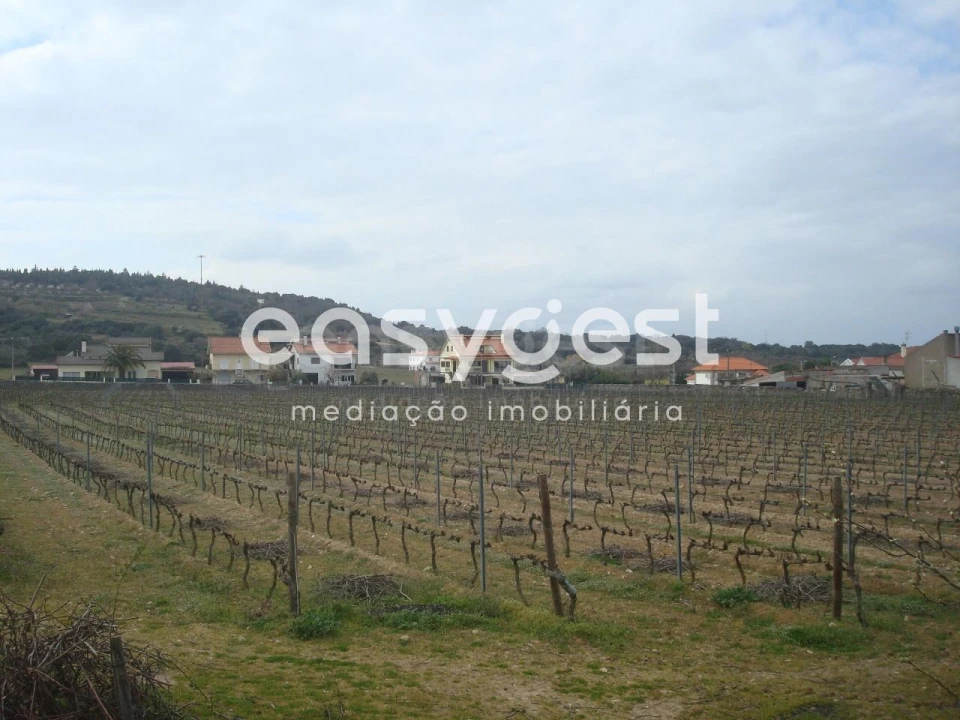 Terreno Agricola ou Rústico para Venda em Touça Foto 15
