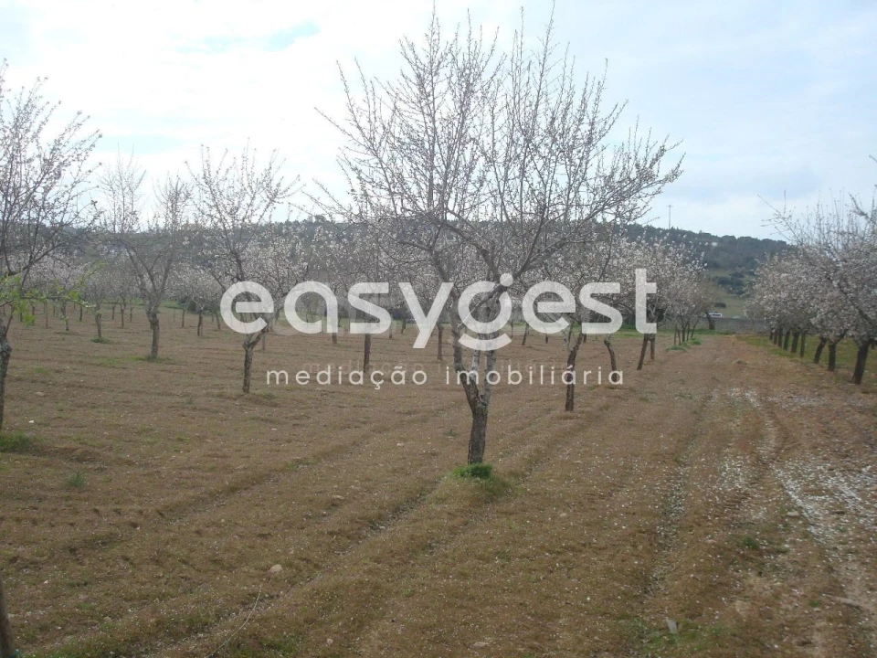 Terreno Agricola ou Rústico para Venda em Touça Foto 25