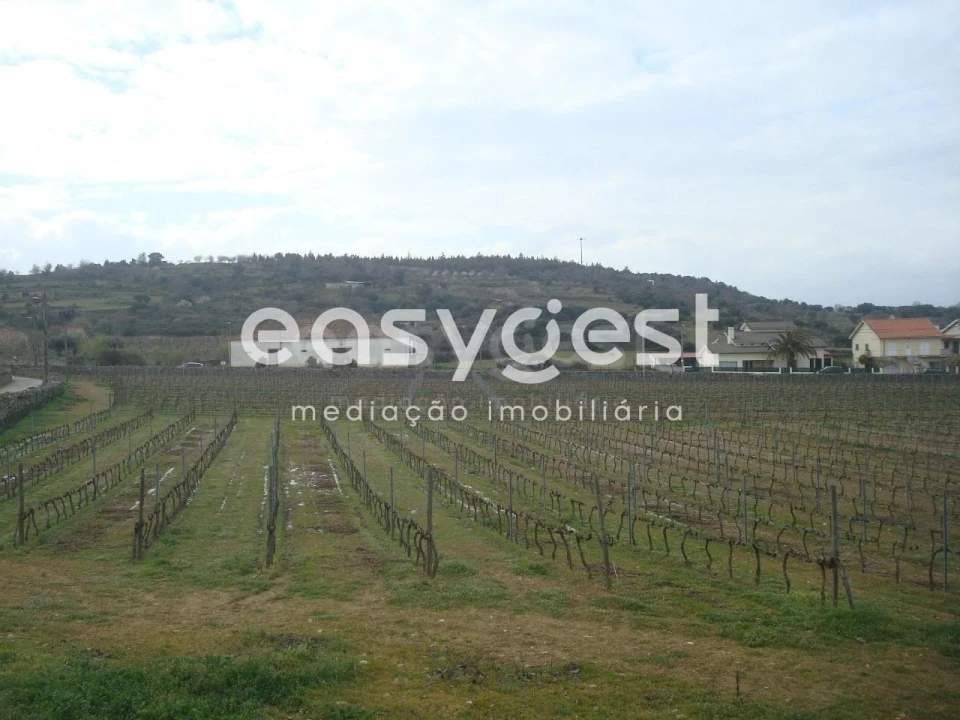 Terreno Agricola ou Rústico para Venda em Touça Foto 28