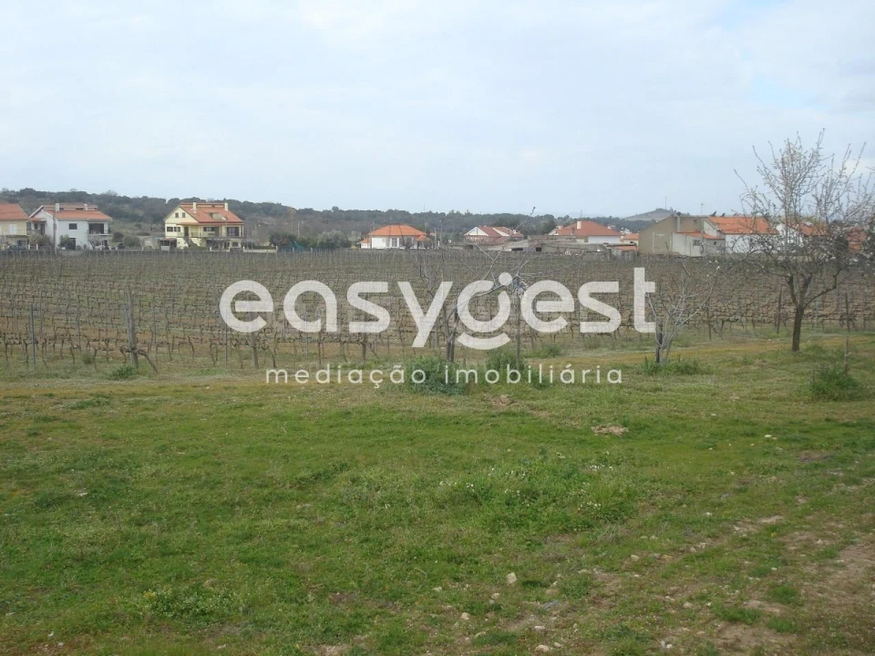 Terreno Agricola ou Rústico para Venda em Touça Foto 29